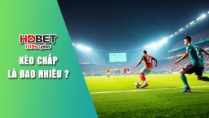 Giải thích kèo chấp là bao nhiêu tại HDbet