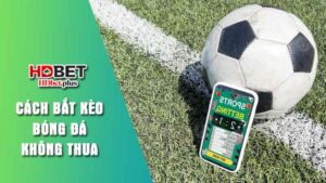 Giới thiệu cá cược thể thao tại HDbet